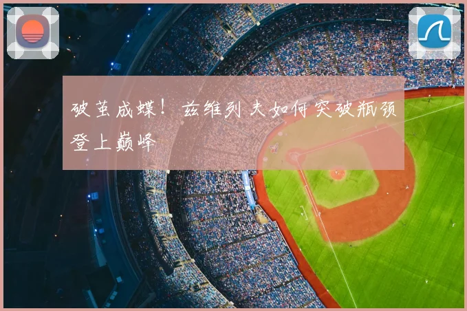 破茧成蝶！兹维列夫如何突破瓶颈登上巅峰